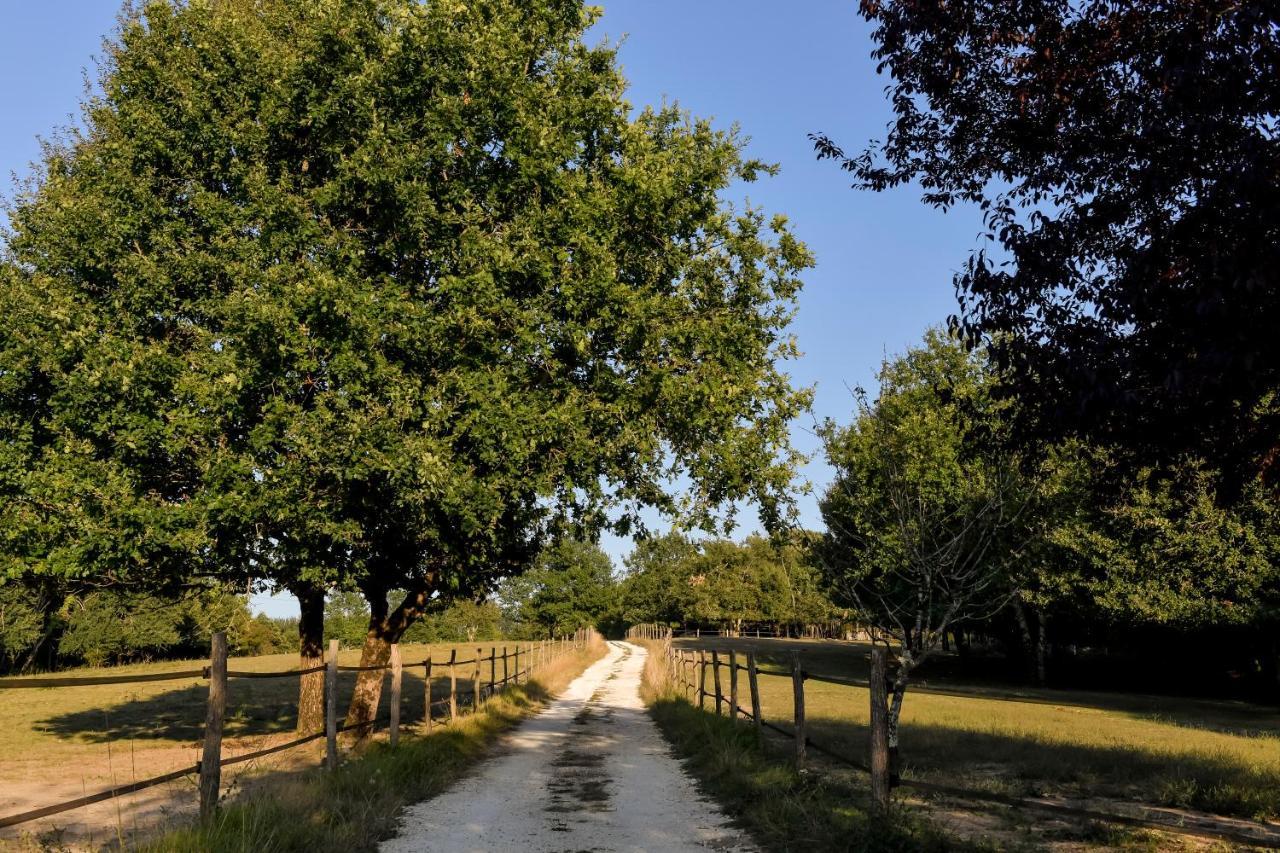 Domaine Verte Vallee Lignan-de-Bordeaux Экстерьер фото